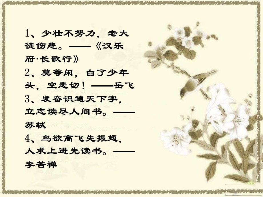 《珍珠鸟》课件 (3).ppt_第2页