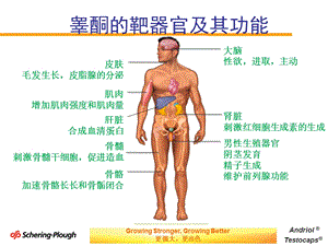 中药联合十一酸睾酮胶丸治疗男科疾病的经验(张和1212)ppt课件PPT文档.ppt