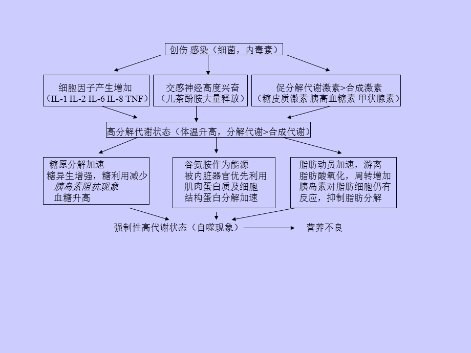 危重病人的营养及代谢管理文档资料.ppt_第3页