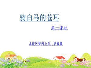 《骑白马的苍耳》第一课时课件.ppt