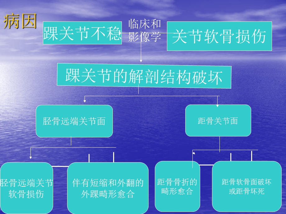 全踝关节置换术PPT文档.ppt_第3页