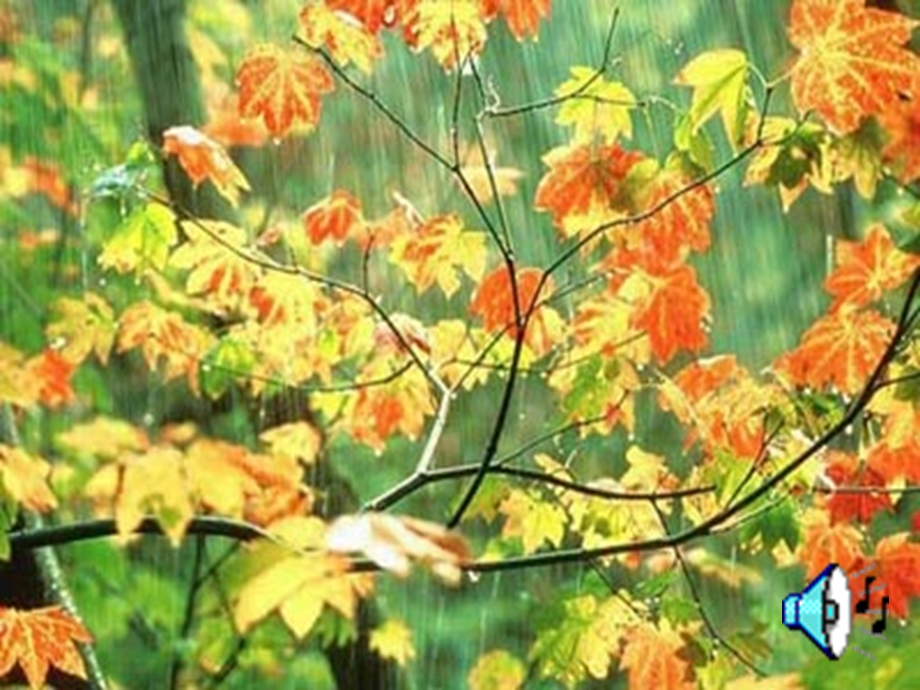 《秋天的雨》课件赵晓娜.ppt_第1页