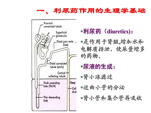 药理学利尿药及脱药课件文档资料.ppt