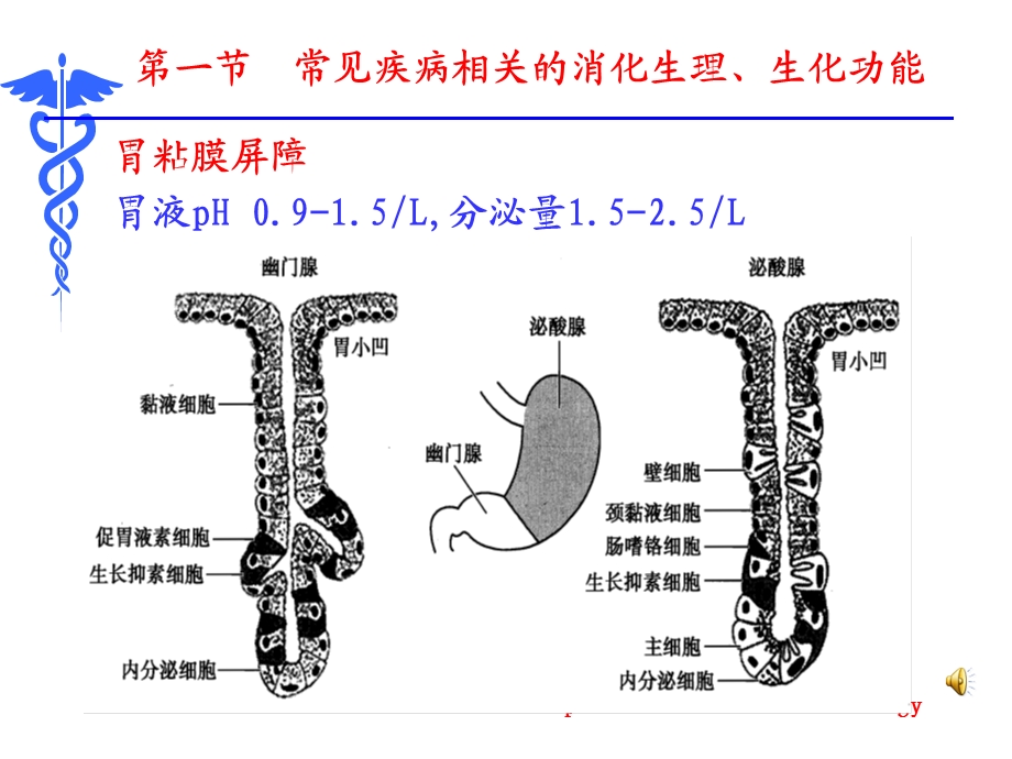 内科学8版消化系统疾病总论文档资料.ppt_第3页