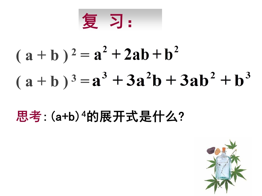 【数学】131《二项式定理（一）》课件（新人教A版选修2-3）.ppt_第2页