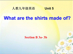 unit5SectionB单元同步作文指导.ppt