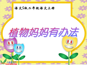 （语文S版）二年级语文上册课件植物妈妈有办法3.ppt