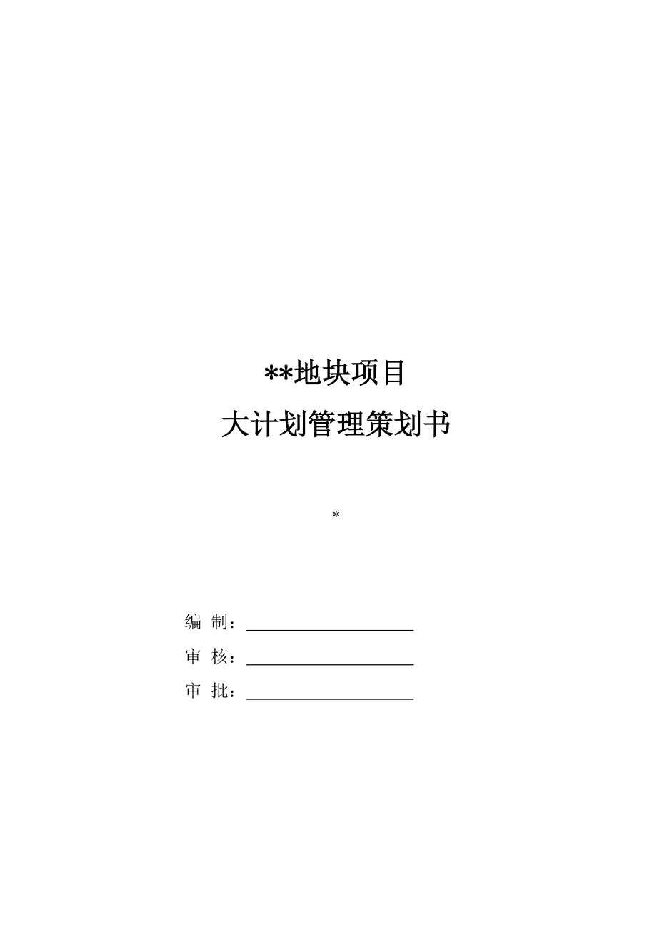 大计划管理策划书.doc_第1页