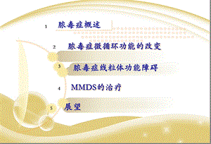 小儿危重病人MMDS的识别与防治文档资料.ppt