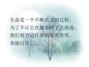 项脊轩志[精选文档].ppt