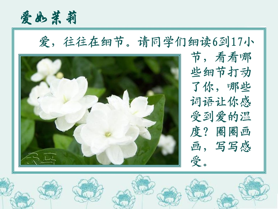 soppt爱如茉莉.ppt_第3页