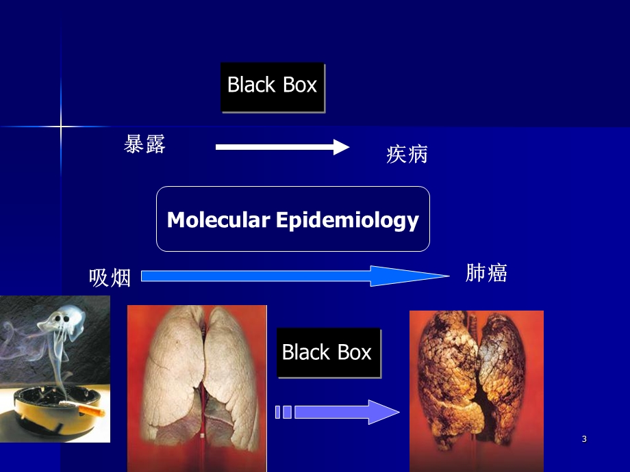 分子流行病学精选文档.ppt_第3页