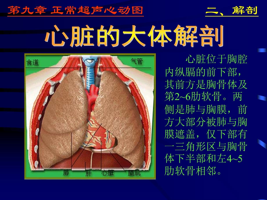 正常心脏超声表现文档资料.ppt_第2页