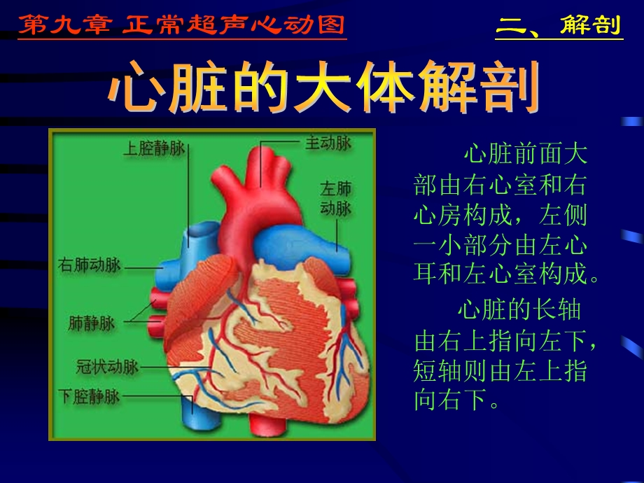 正常心脏超声表现文档资料.ppt_第3页