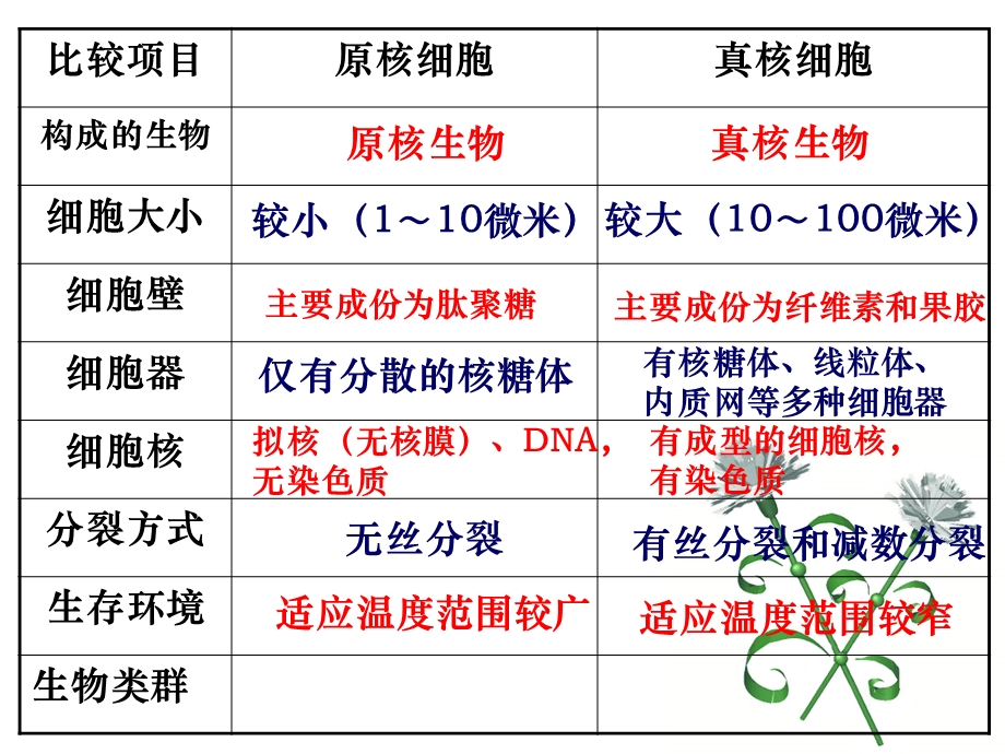 非细胞生物文档资料.ppt_第2页