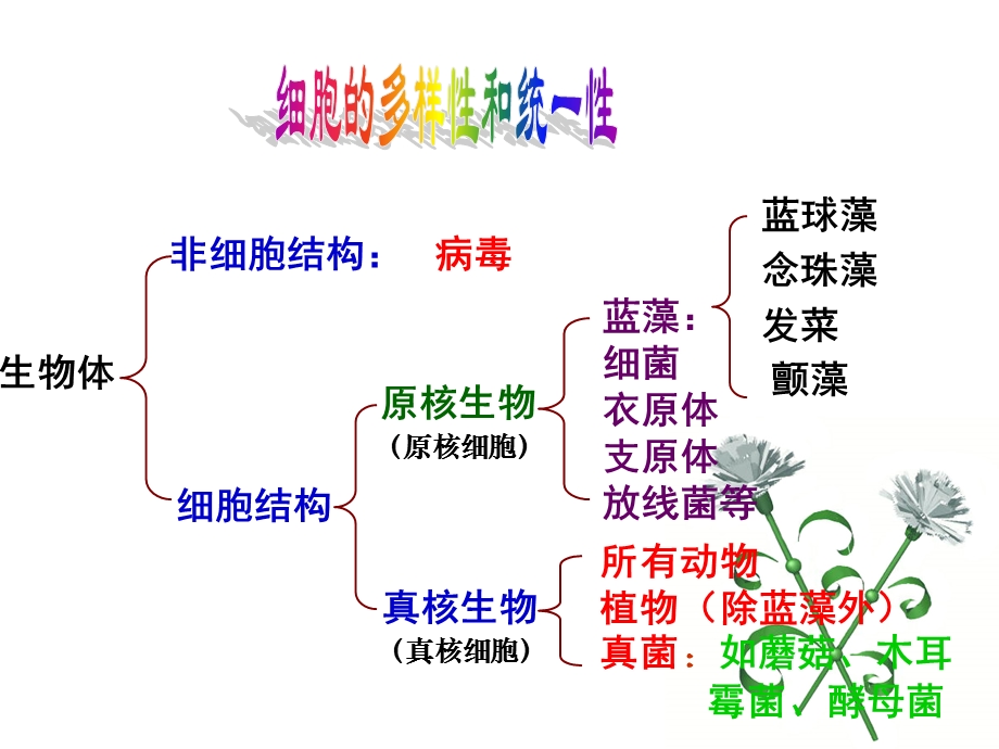 非细胞生物文档资料.ppt_第3页