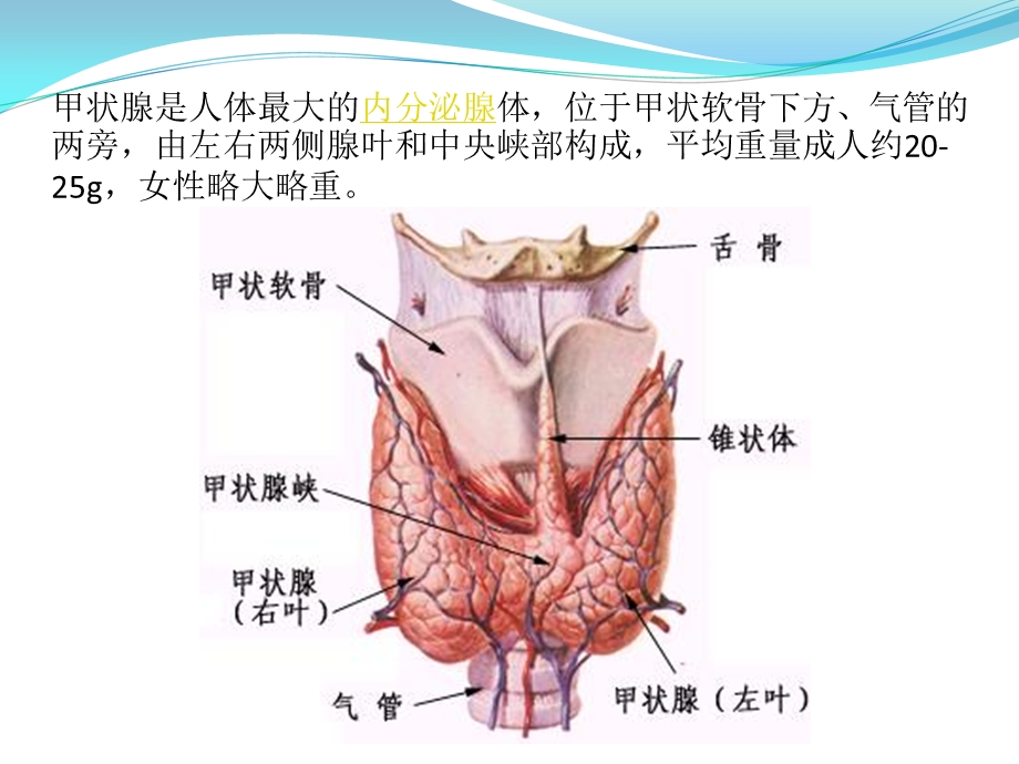 腔镜甲状腺瘤术前术后护理文档资料.ppt_第1页