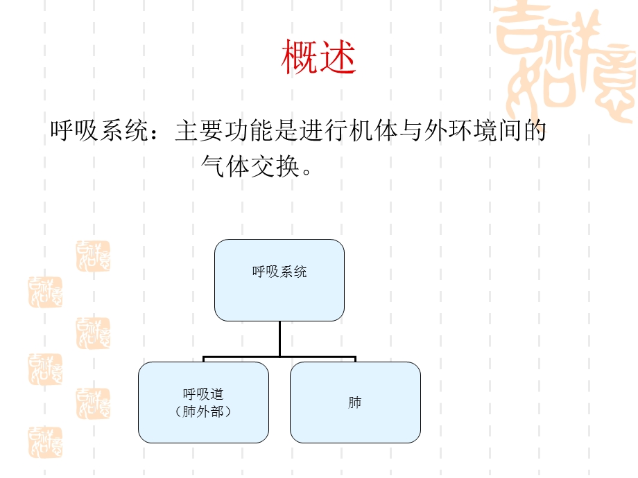 呼吸系统解剖PPT课件文档资料.ppt_第1页