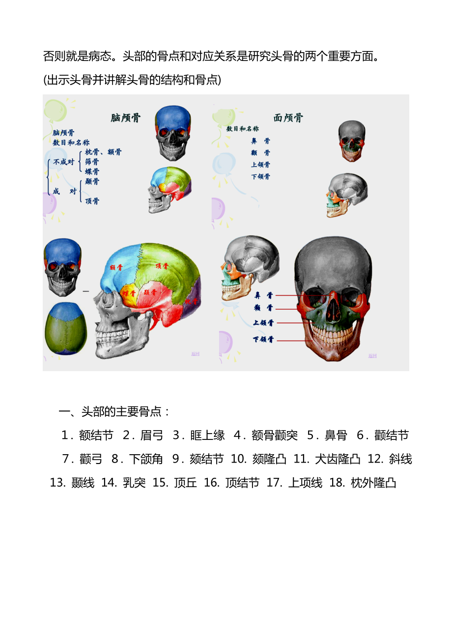 头部地解剖结构和形体结构.doc_第3页