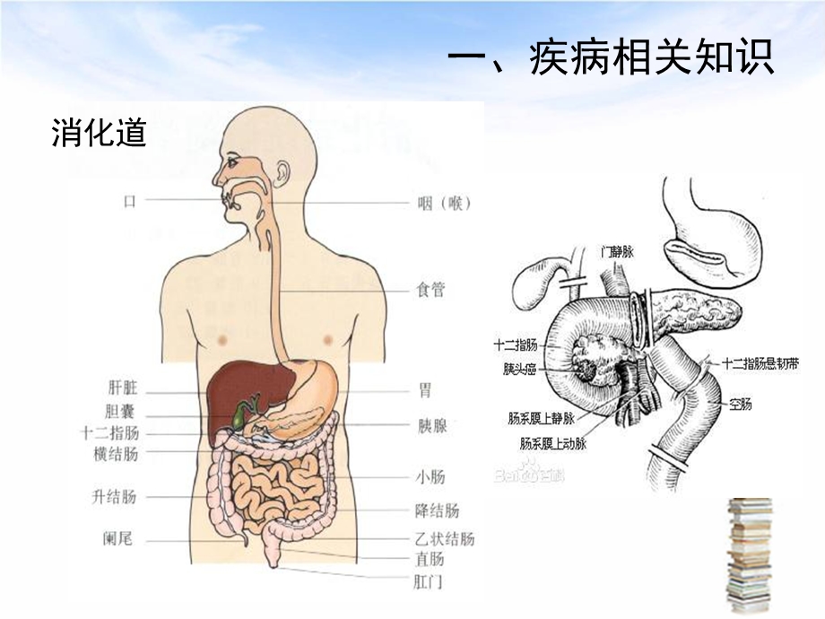 下消化道出血伴失血性休克护理查房文档资料.ppt_第2页