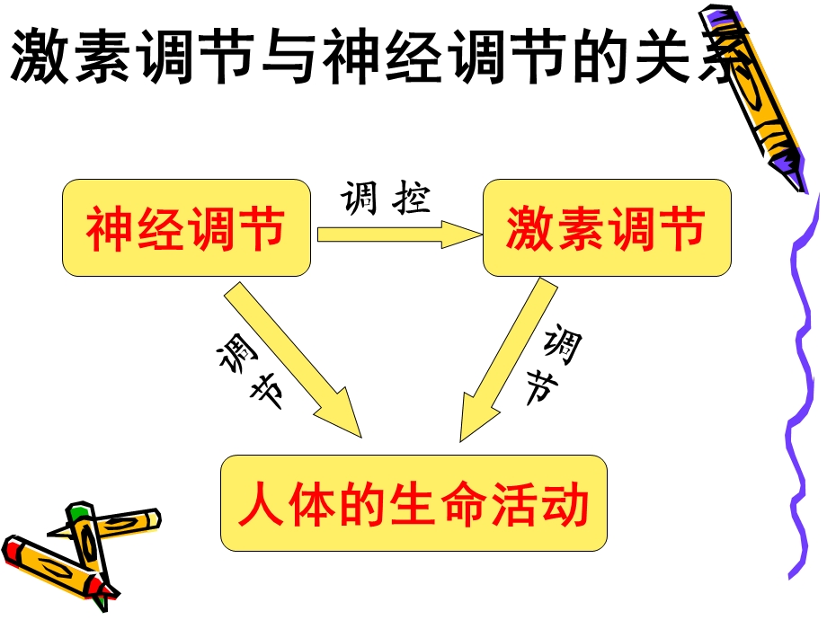 人体通过神经系统和内分泌系统调节生命活动精选文档.ppt_第3页