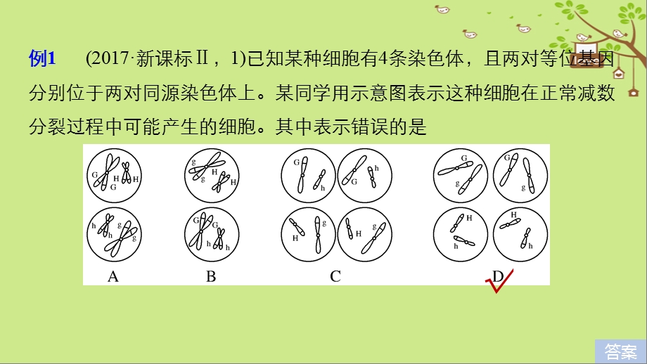 高考生物大一轮复习热点题型四透过细胞分裂图像解决减数分裂与可遗传变异的关系课件3103(共22张PPT).ppt_第2页