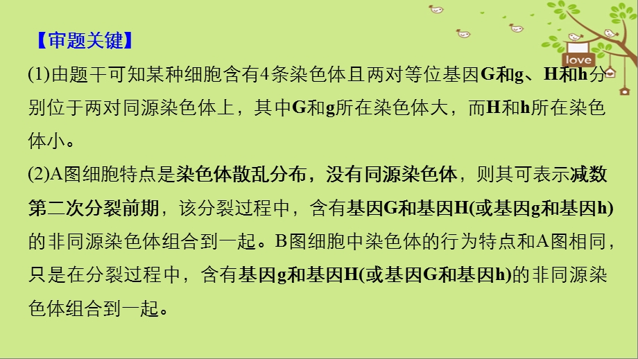 高考生物大一轮复习热点题型四透过细胞分裂图像解决减数分裂与可遗传变异的关系课件3103(共22张PPT).ppt_第3页