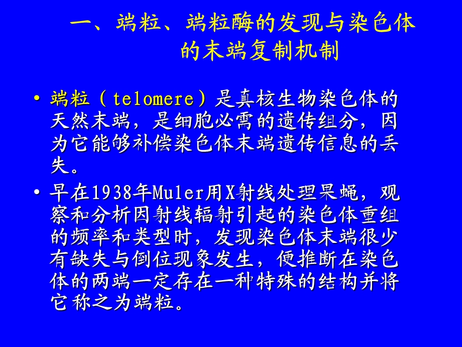 分子肿瘤学6端粒、端粒酶与肿瘤精选文档.ppt_第3页