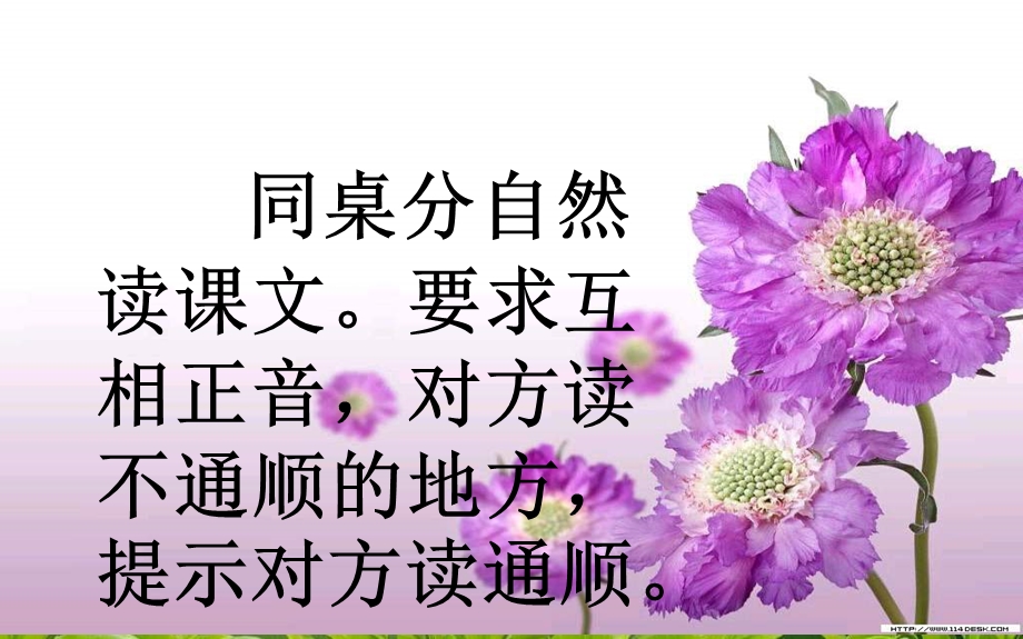 《自然界的时钟》.ppt_第3页