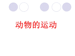 《动物的运动》课件2.ppt