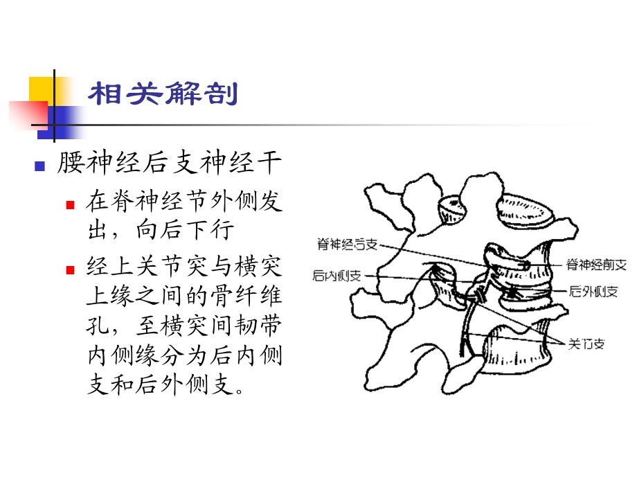 腰神经后支卡压课件文档资料.ppt_第1页