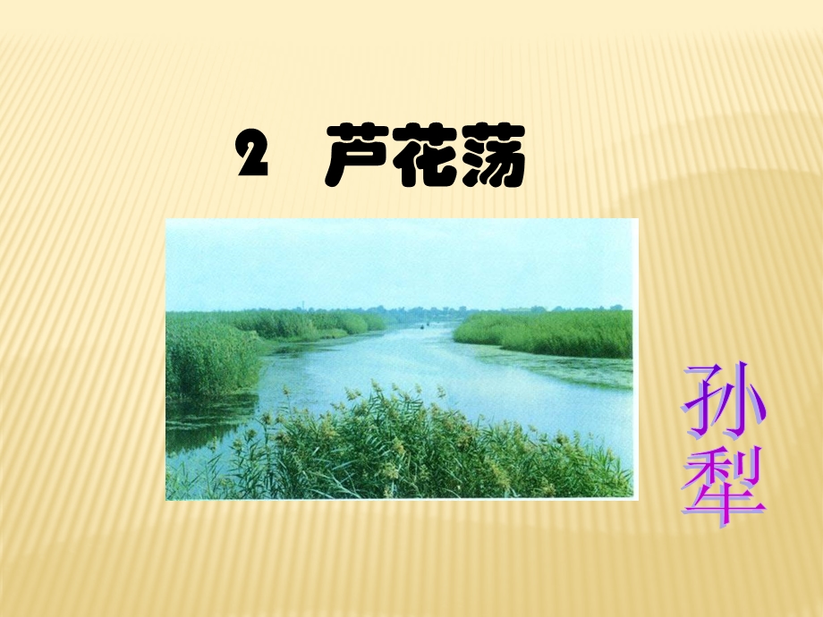 《芦花荡》(1).ppt_第1页