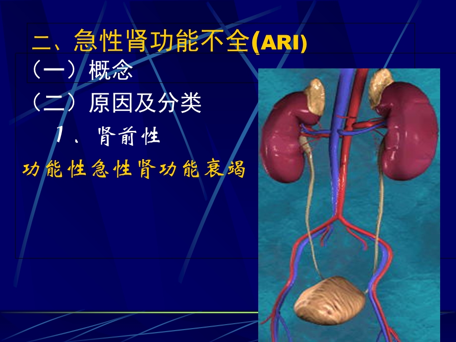 肾功能不全课件文档资料.ppt_第2页