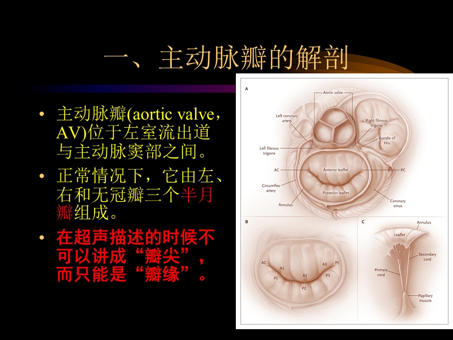 主动脉肺动脉瓣疾病ppt课件精选文档.ppt_第1页