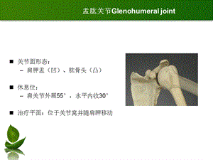 肩肘关节松动术课件文档资料.ppt