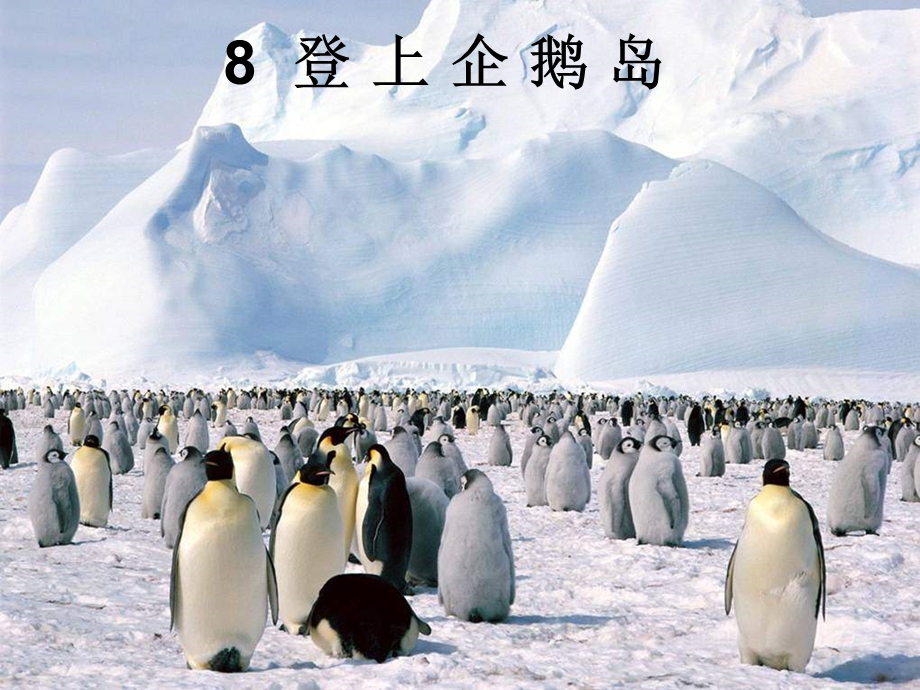 《登上企鹅岛》课件.ppt_第2页