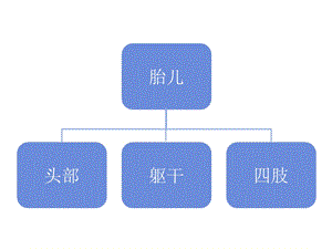 产科检查常规切面ppt课件精选文档.ppt