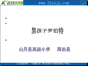 《黑孩子罗伯特》PPT.ppt