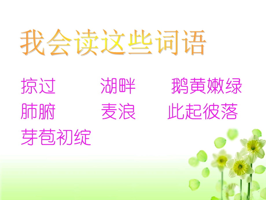 《麦哨》教学课件.ppt_第3页