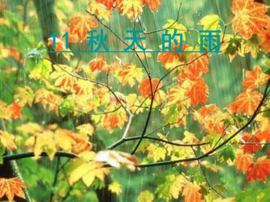 《秋天的雨》 (3).ppt_第1页