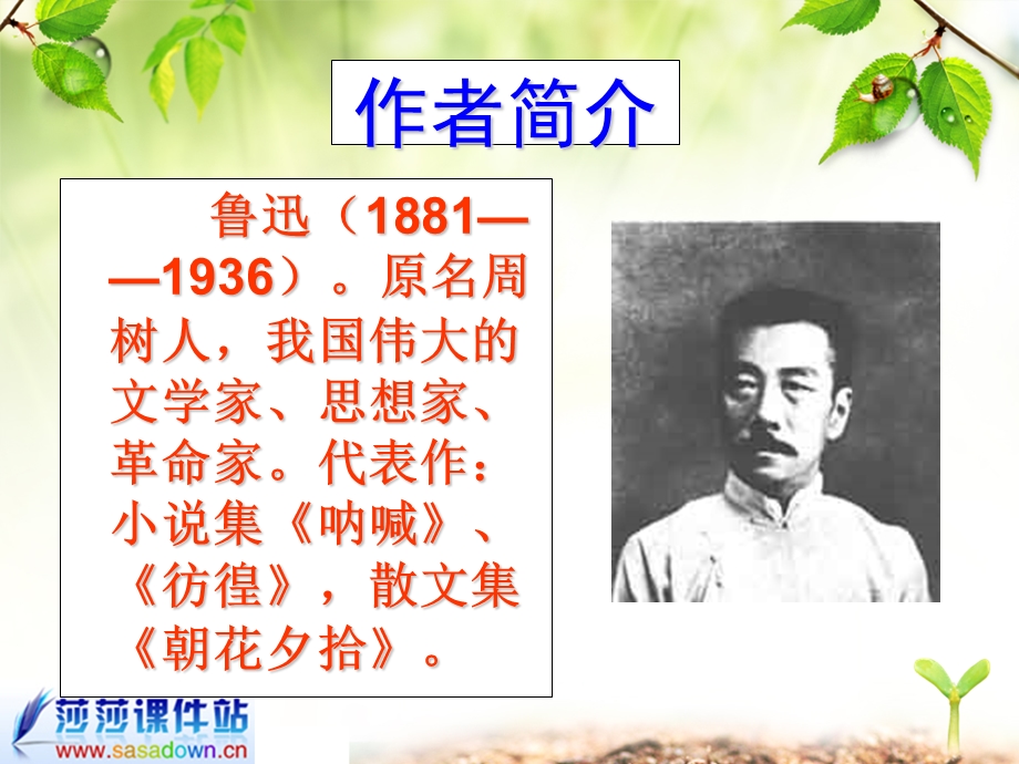 《阿长与山海经》课件[1].ppt_第2页