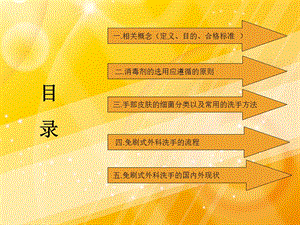 免刷式外科洗手法文档资料.ppt