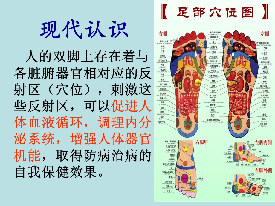 足部保健推拿文档资料.ppt_第3页