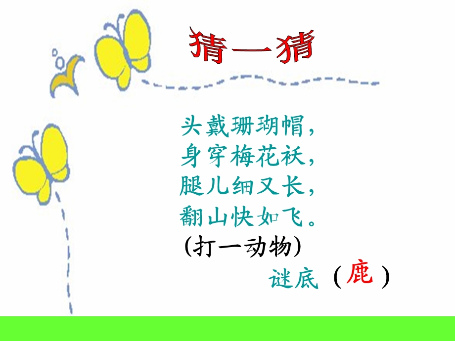 28狮子和鹿课件.ppt_第2页