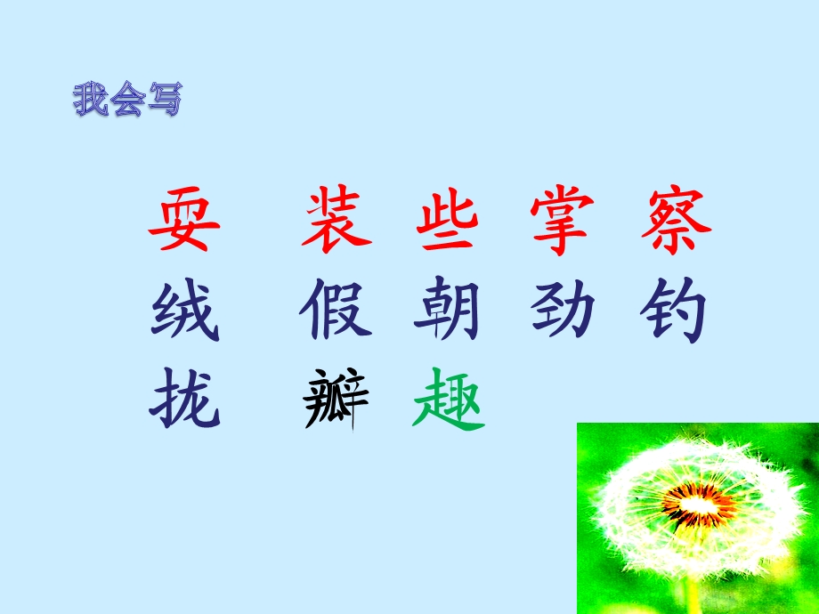 《金色的草地》课件【21页】.ppt_第3页