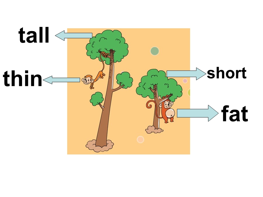 Unit2Themanisshor.ppt_第3页