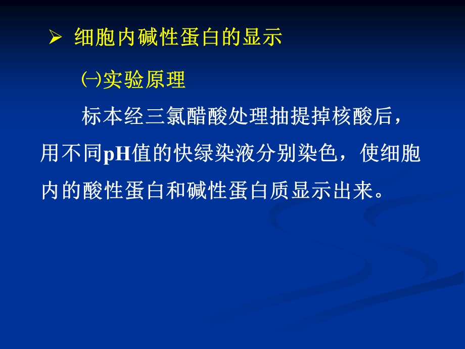 实验三细胞化学成分显示文档资料.ppt_第3页