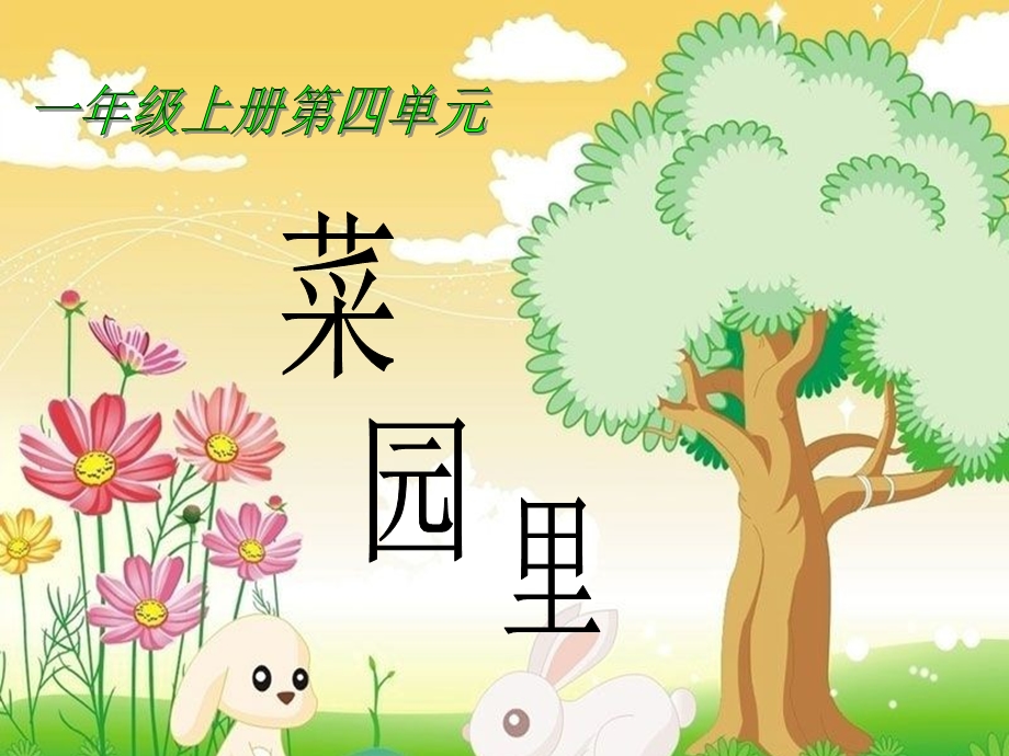 《菜园里》教学课件1(1).ppt_第1页