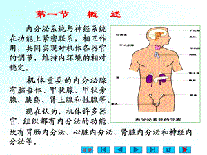 内分泌系统竞赛辅导文档资料.ppt