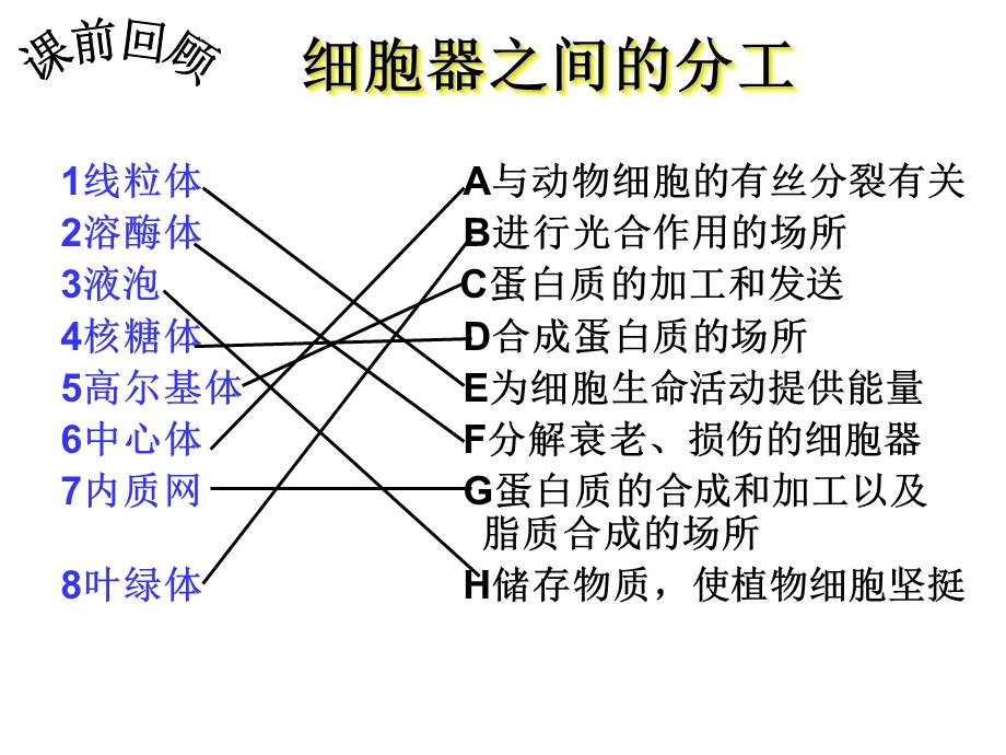 我的课件：第二节：细胞器——系统内的分工合作1文档资料.ppt_第1页